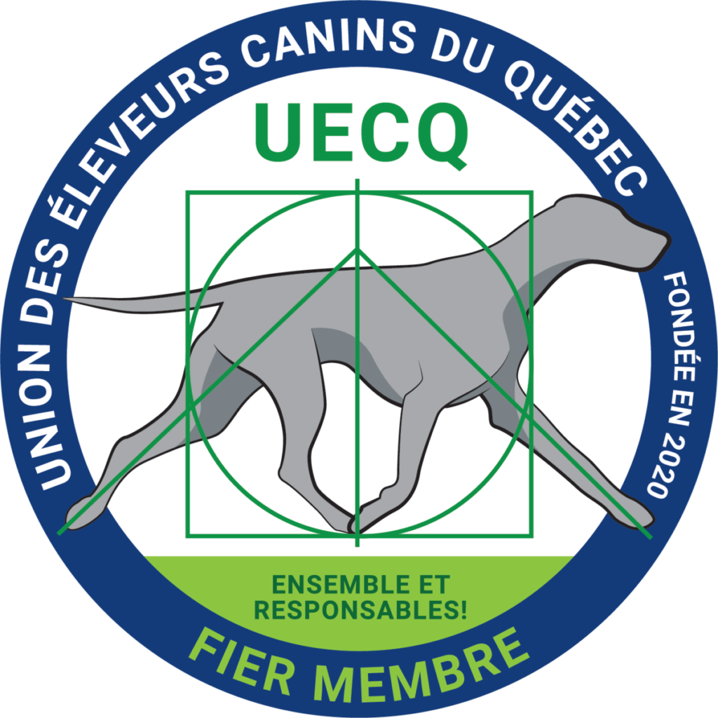 Accueil Eleveur Canin 1024x1024